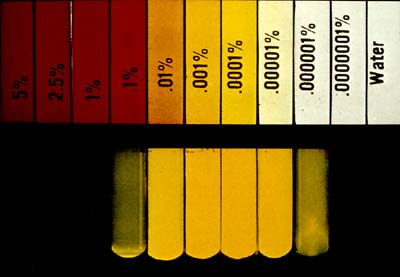 Dye concentration and fluorescence